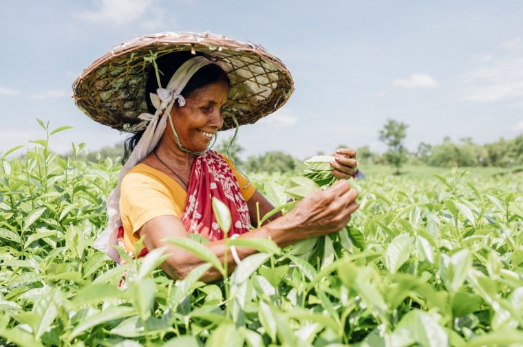 cqmu33ynw6o4x7jsgs.jpg cqmu33ynw6o4x7jsgs.jpg