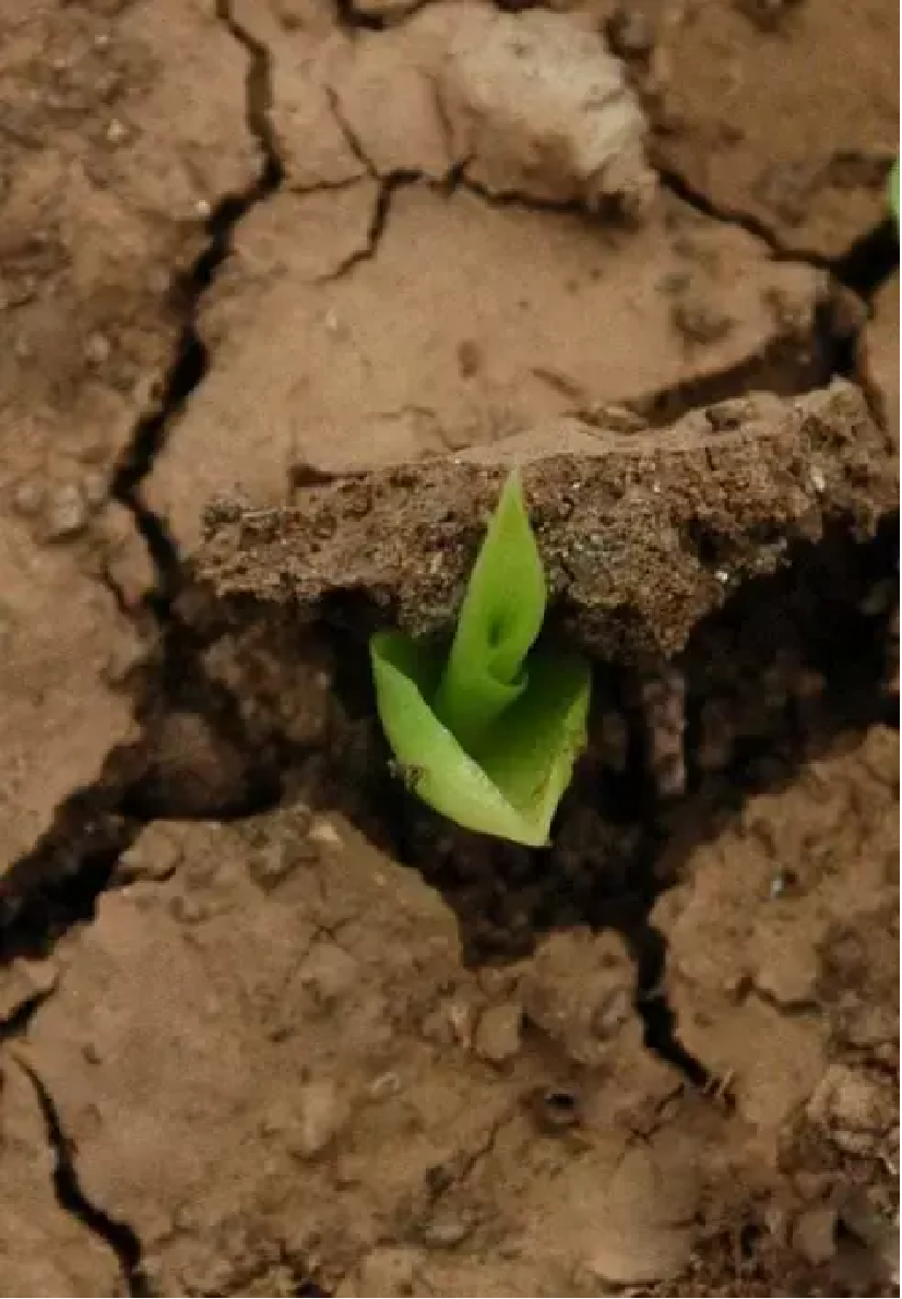 cwsgj17hmjt9x8bwop.png cwsgj17hmjt9x8bwop.png