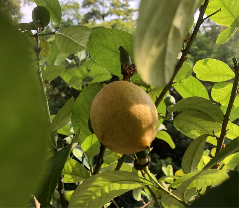 cwsgm4130d9genvbw3.png cwsgm4130d9genvbw3.png