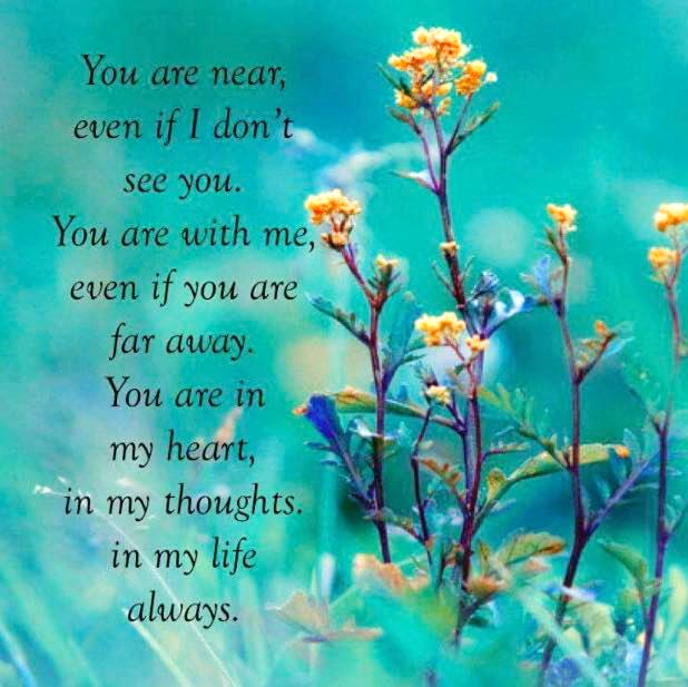 d0b51ppu60iedqqhmn.png d0b51ppu60iedqqhmn.png