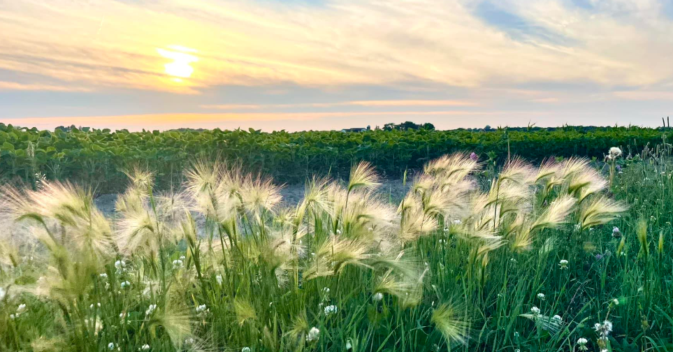 d1yicyzo69nlgur3hf.png d1yicyzo69nlgur3hf.png