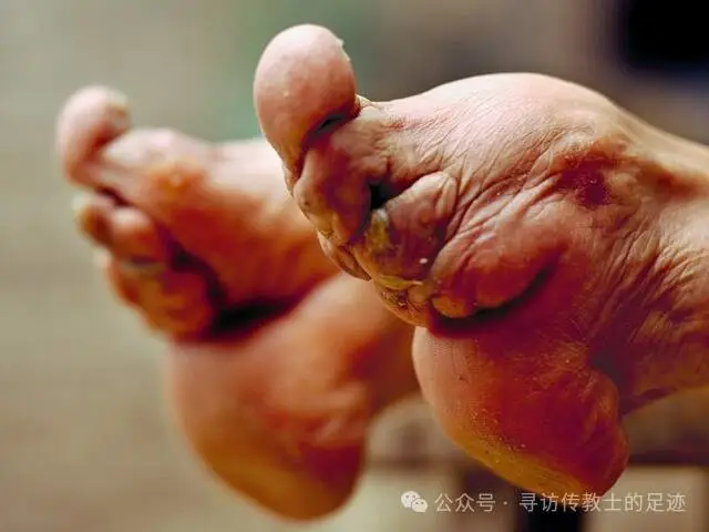 d5d606vvepk9hkdevd.png d5d606vvepk9hkdevd.png