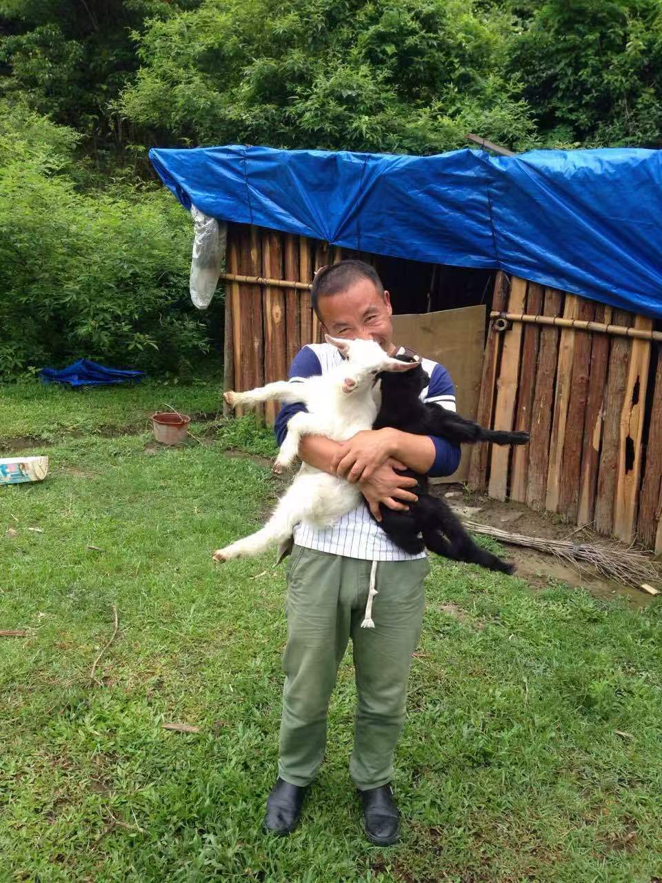 d5kw5spc77nhdsyfds.jpg d5kw5spc77nhdsyfds.jpg