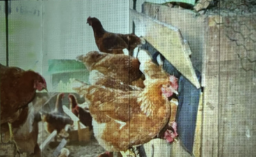 d6ai0emh3458aho2en.jpg d6ai0emh3458aho2en.jpg