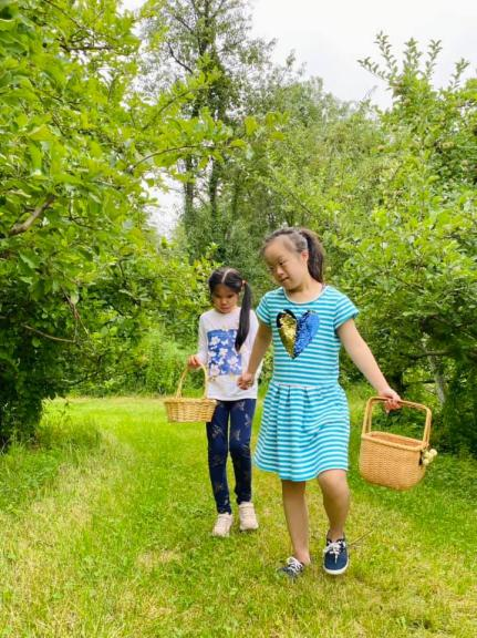 d6ut1ilpnuylyfecx0.png d6ut1ilpnuylyfecx0.png