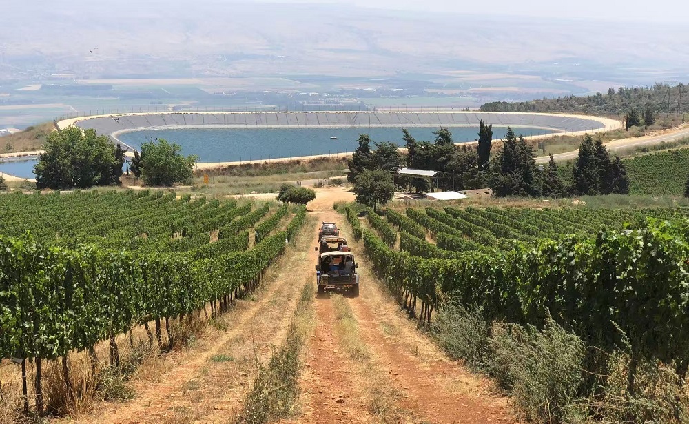 dahyrjcnhs7los20f5.jpg dahyrjcnhs7los20f5.jpg