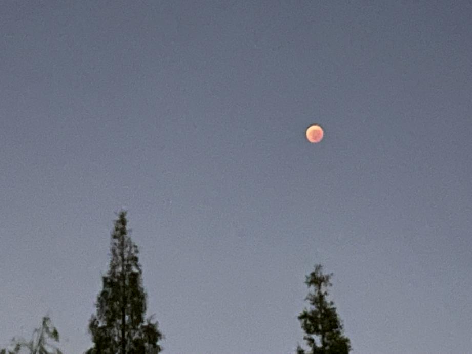 图：基督时报/舒念