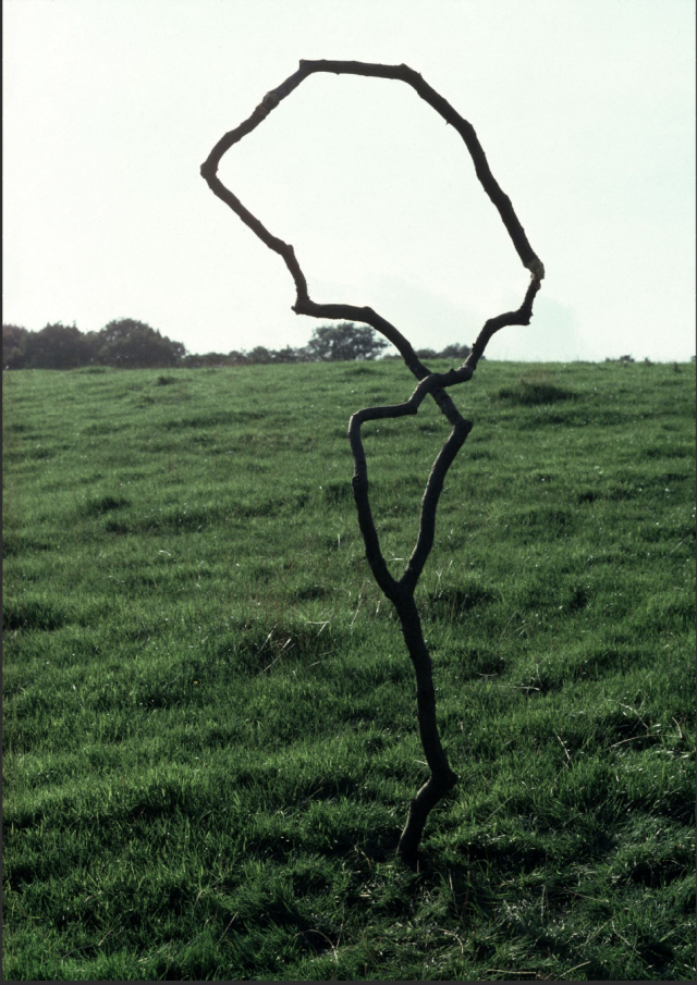 《两根分叉的树干和树枝》/安迪·戈尔德斯沃西