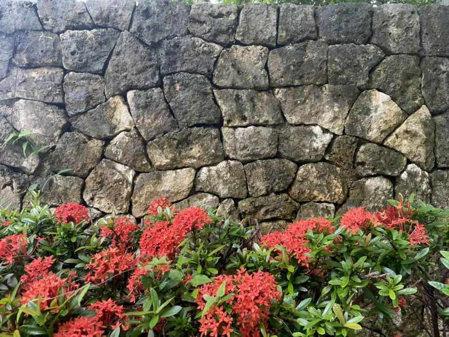 花墙（拍摄：基督时报/舒念）