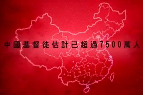 (图:飞跃网络国际)