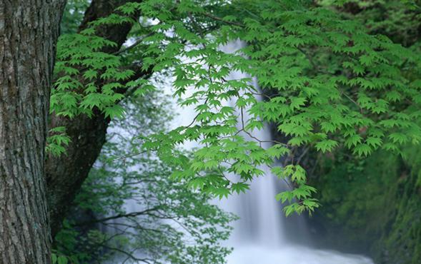 (图片来自:http://photorack.net/)