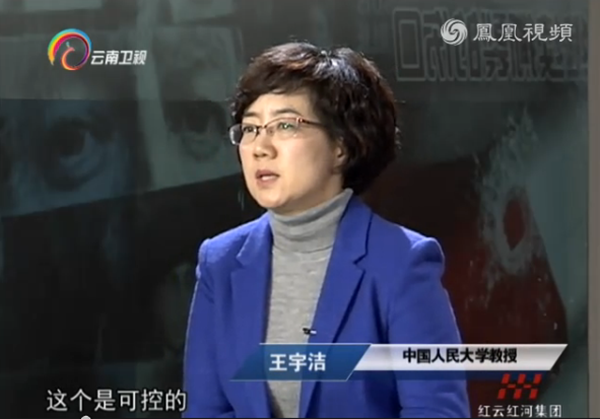 人大教授王宇洁：欧洲基督徒对穆斯林文化的“四怕”-ChristianTimes-基督教资讯平台