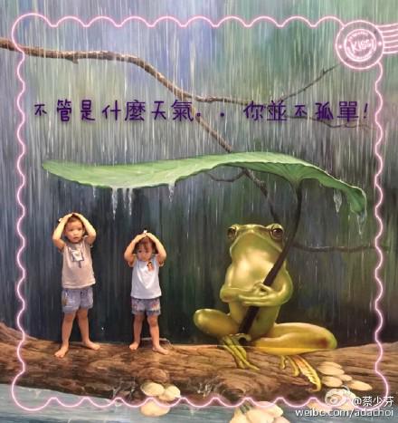 蔡少芬两个可爱的女儿(图:蔡少芬的微博)