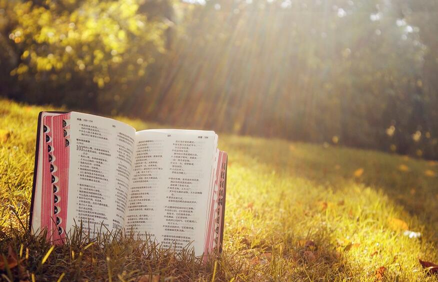 【新年读经系列】约翰·派博:帮助你正确读经的3种方法-ChristianTimes-基督教资讯平台