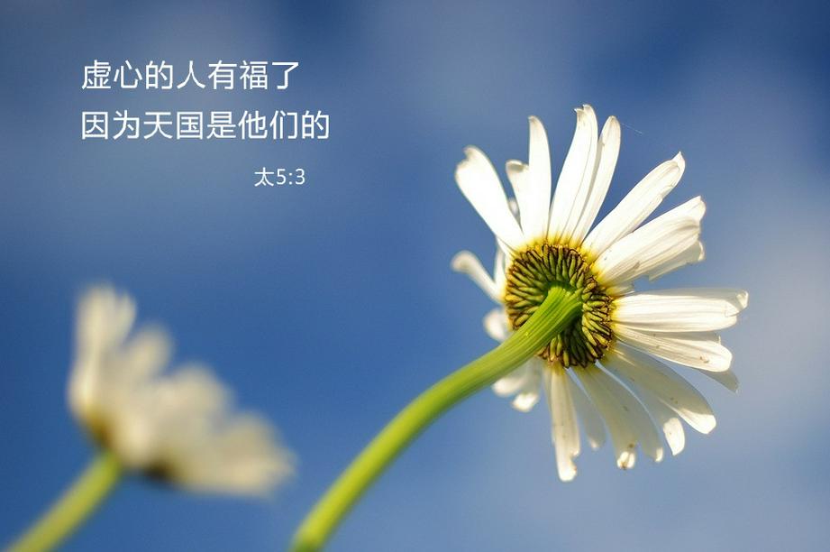 来源:pixabay.com