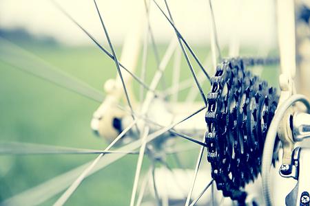 配图来源：摄图网