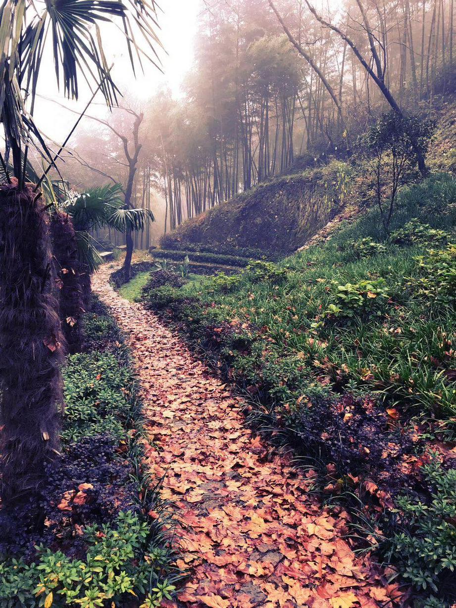 (图:基督时报资料图片)