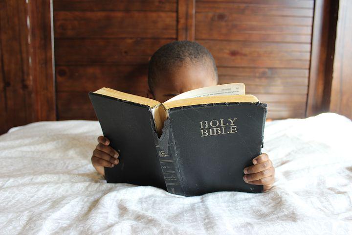 图源:Wycliffe Bible Translators