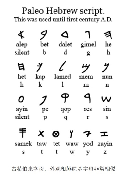 屏幕截图 2021-01-29 064043.jpg